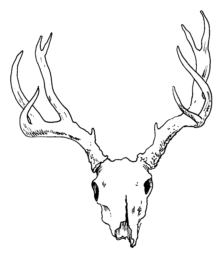 Antler